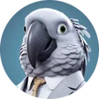 kevin_antwerp